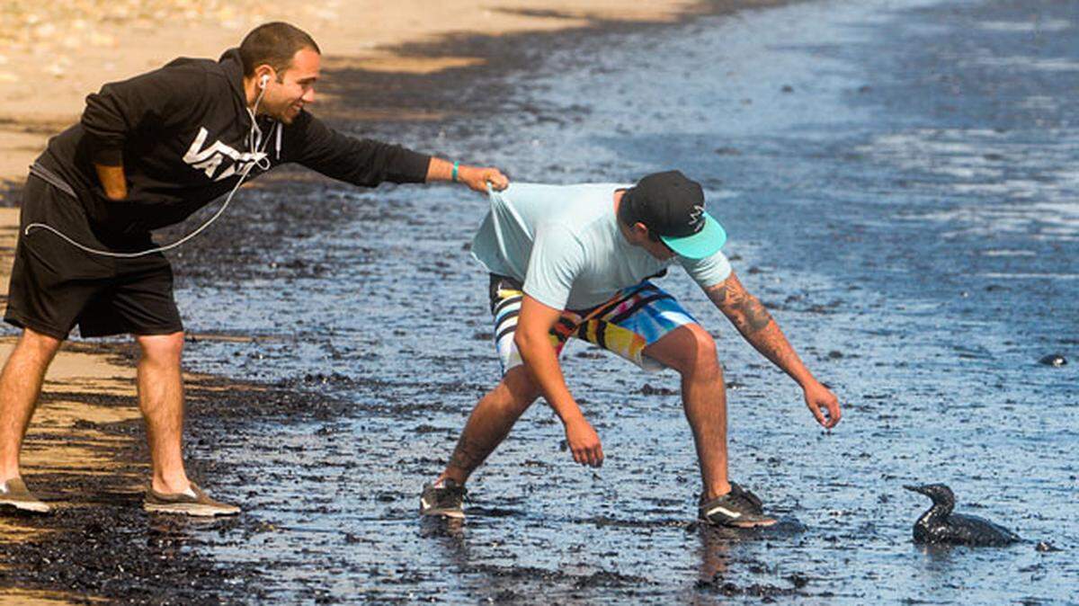 Two men rescue an oil-soaked sea bird at Refugio State Beach following the rupture of a nearby Plains All American pipeline on May 19, 2015. A Santa Barbara Superior Court jury on Friday returned guilty verdicts on nine criminal counts filed against the Texas-based company related to the spill. A mistrial was declared on three other counts.