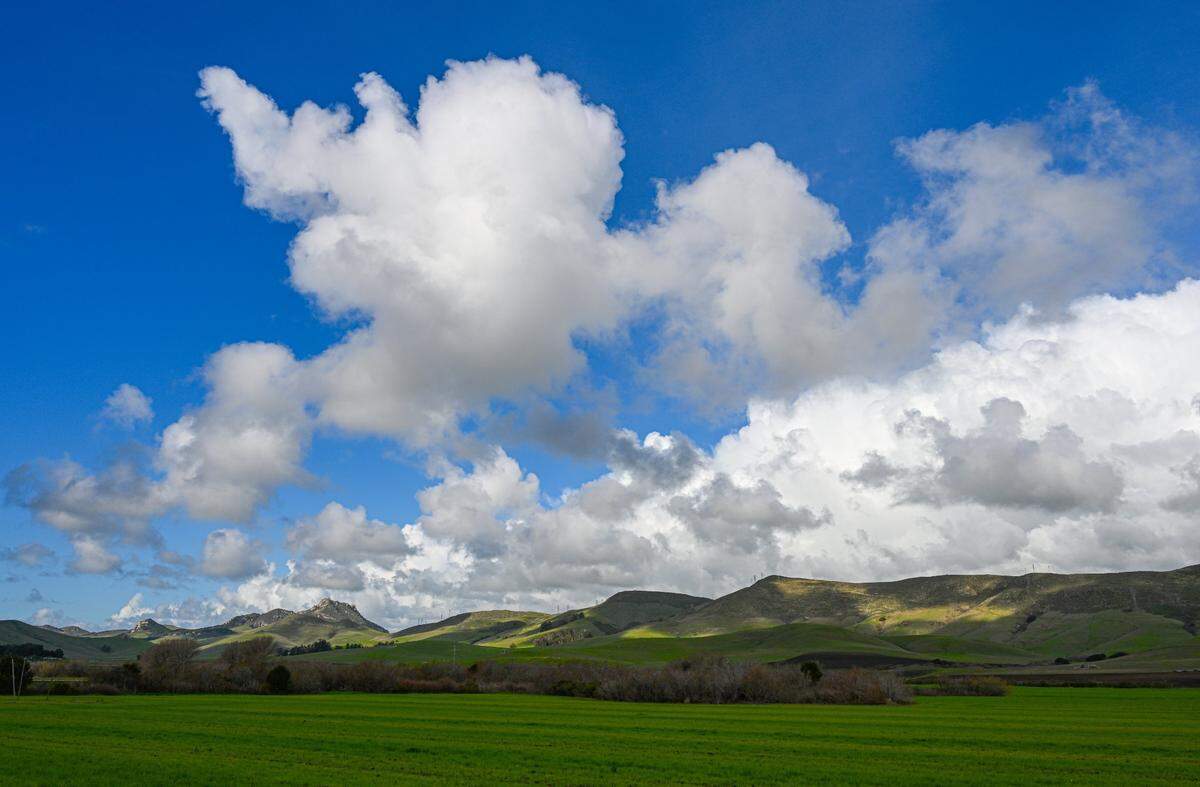The hills along Los Osos Valley Road turned green by rain.