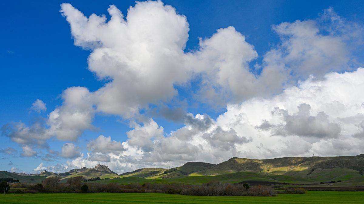 The hills along Los Osos Valley Road turned green by all the rain.