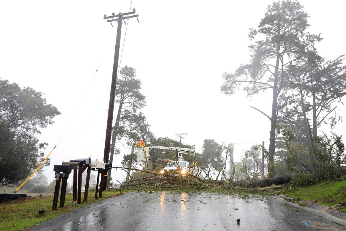 Workers remove a tree that fell and blocked Richard Street in Cambria on Thursday, Jan. 28, 2021. A huge storm has unleashed flooding in areas around Cambria.