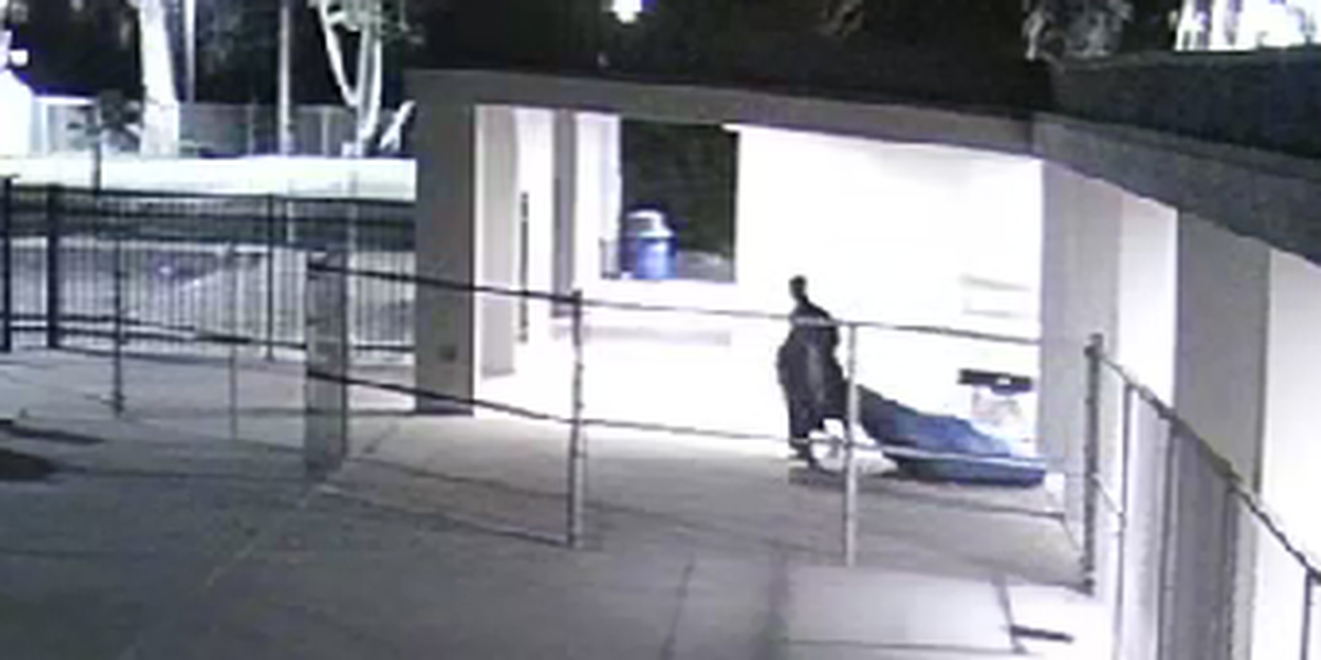 Security footage shows a suspect, who police have identified as Royal Ebright, breaking into Morro Bay High School.