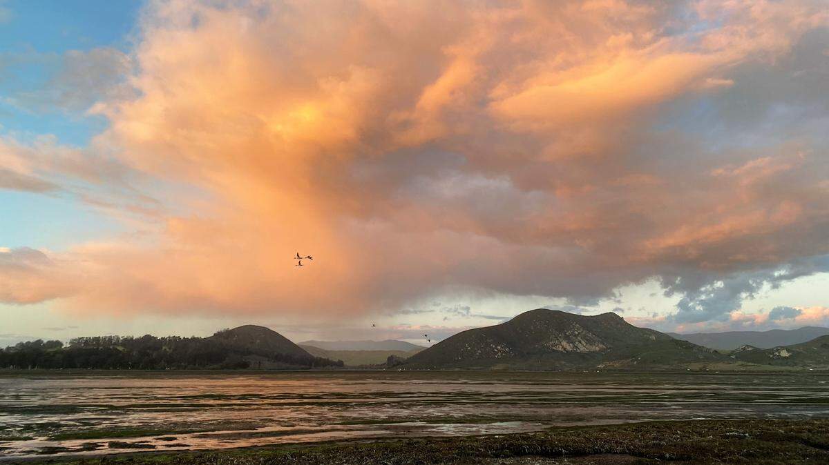 A heaped cumulonimbus cloud behind Morro Bay during sunset as spring approaches.