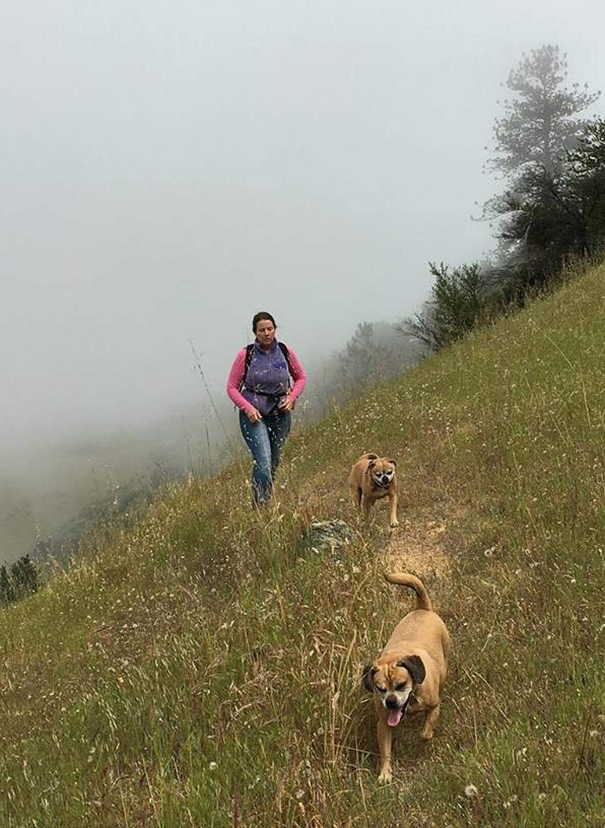 Anneliese Agren is one of many Big Sur residents who regularly do errands and have appointments in Cambria and other parts of San Luis Obispo County even though they live north of the big Mud Creek landslide that has kept Highway 1 closed for more than a year. Now, those “to-do” trips take a long much longer and happen much less frequently, even for veterinarian appointments for Agren’s pug-beagle pups Meatball and Maggie.