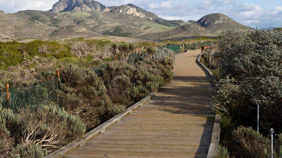 The Elfin Forest in Los Osos