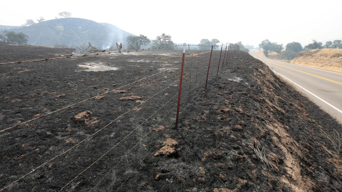 The Madre Fire burned on the northern side of Highway 166 and into the mountain areas toward the Carrizo Plain seen here on the second day July 3, 2025.