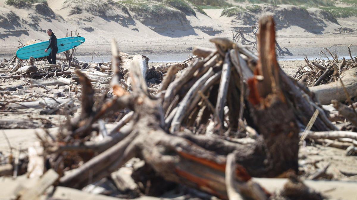 Surfer Mike Simpson walks back to car after surf session at Morro Bay April 28, 2023. The beach north of Morro Rock is littered with driftwood from heavy atmospheric river storms this year.