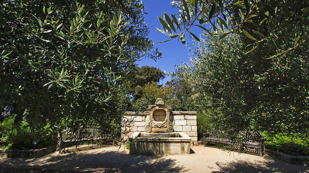 Mature olive trees flank the classical-inspired fountain. The area includes benches to encourage visitors to sit and reflect.