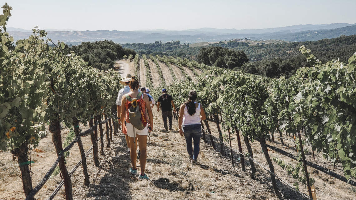 Paso Robles wine touring company ranked one of best in country by USA Today