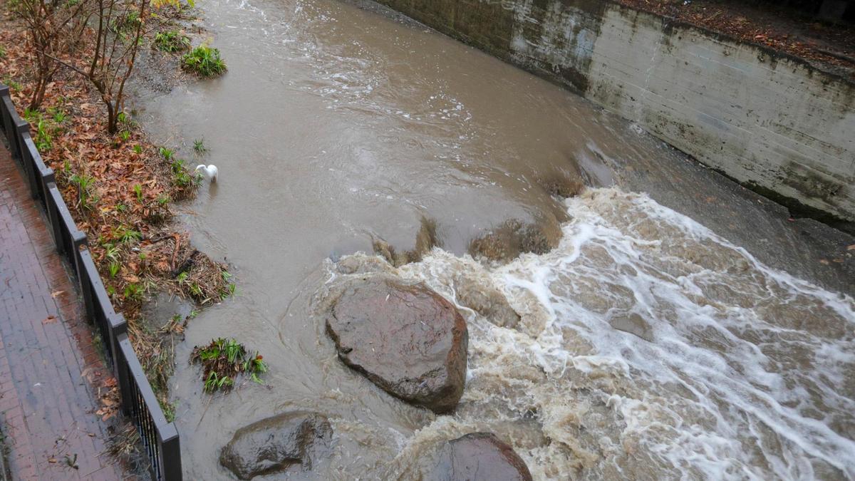An egret fishes in the rising waters of San Luis Creek on Thursday morning. The stepping stones used to cross from side to side are covered with water.