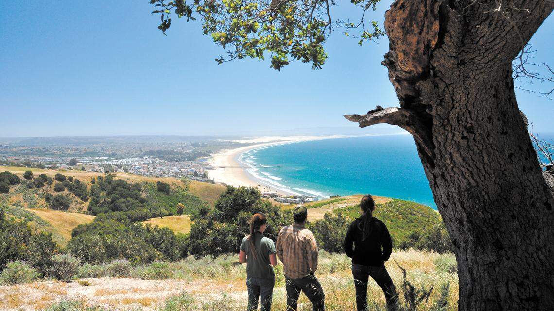 Hikers atop a ridge in the proposed Pismo Preserve enjoy a view of the coastline from Pismo Beach south to Point Sal. The Land Conservancy of San Luis Obispo County is working to raise $11.7 million to purchase the 900-acre property and open it to the public.