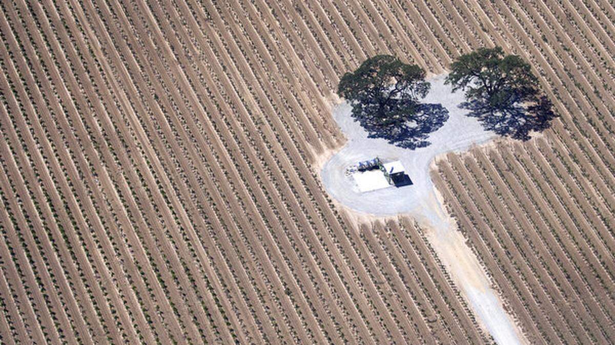 A road leads to well site in a vineyard near Highway 46 east of Paso Robles.