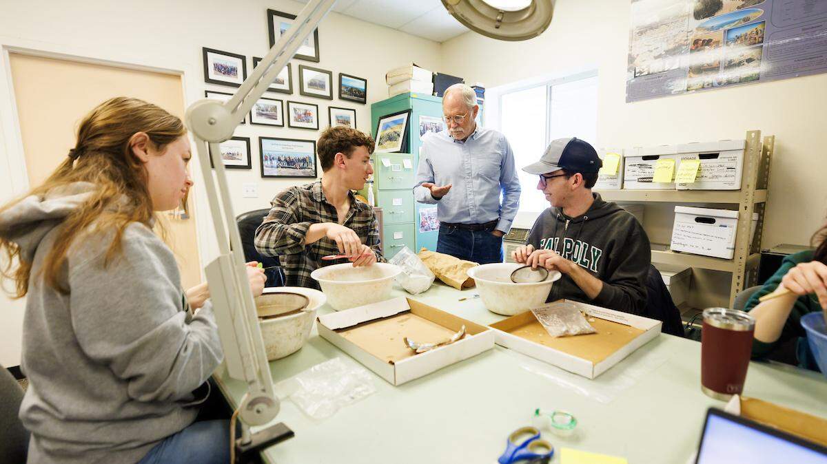 Students in a Cal Poly anthropology class clean and catalog items found at a site once occupied by Japanese tenant farmers near Montaña de Oro State Park. The Yoshida family was forcibly moved to an internment camp in 1942.