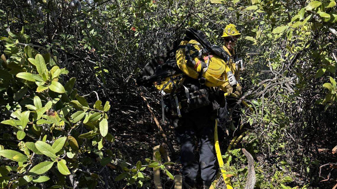 ‘Challenging’ vegetation fire breaks out in SLO County