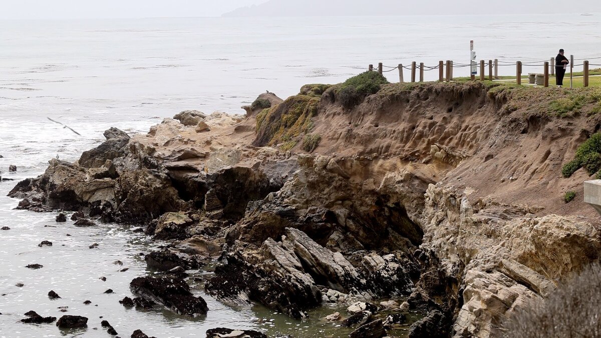 Ground squirrel dens along the Pismo Beach bluffs are contributing to erosion issues. Squirrel dens extend to the blufftop sidewalk and lawn at Eldwayen Ocean Park in Shell Beach on May 5, 2025.