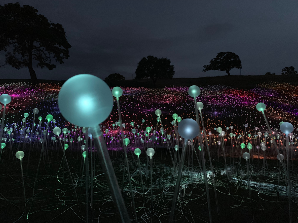 The Field of Light at Sensorio is made up of more than 58,000 stemmed spheres lit by fiber-optic cables.