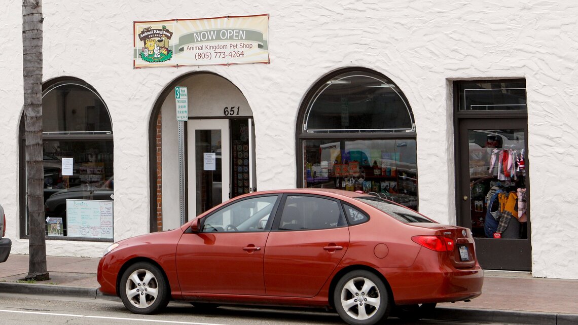 Pet stores in SLO County CA front for puppy mill, suit says | San Luis ...