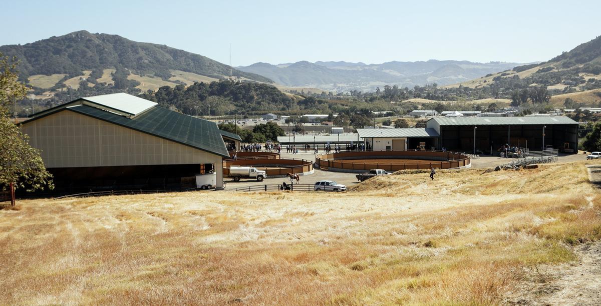 An overview of the Oppenheimer Family Equine Center with the covered riding pavilion on the left.
