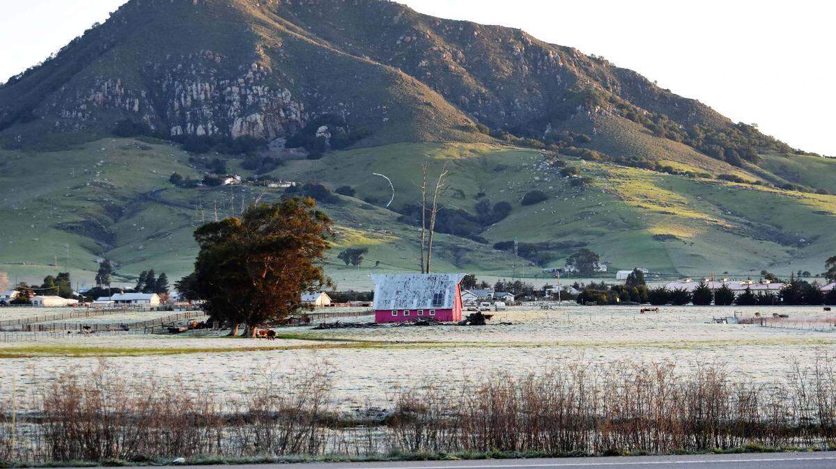 Frost turns the grass white in a view from Los Osos Valley Road with Bishop Peak in the distance.