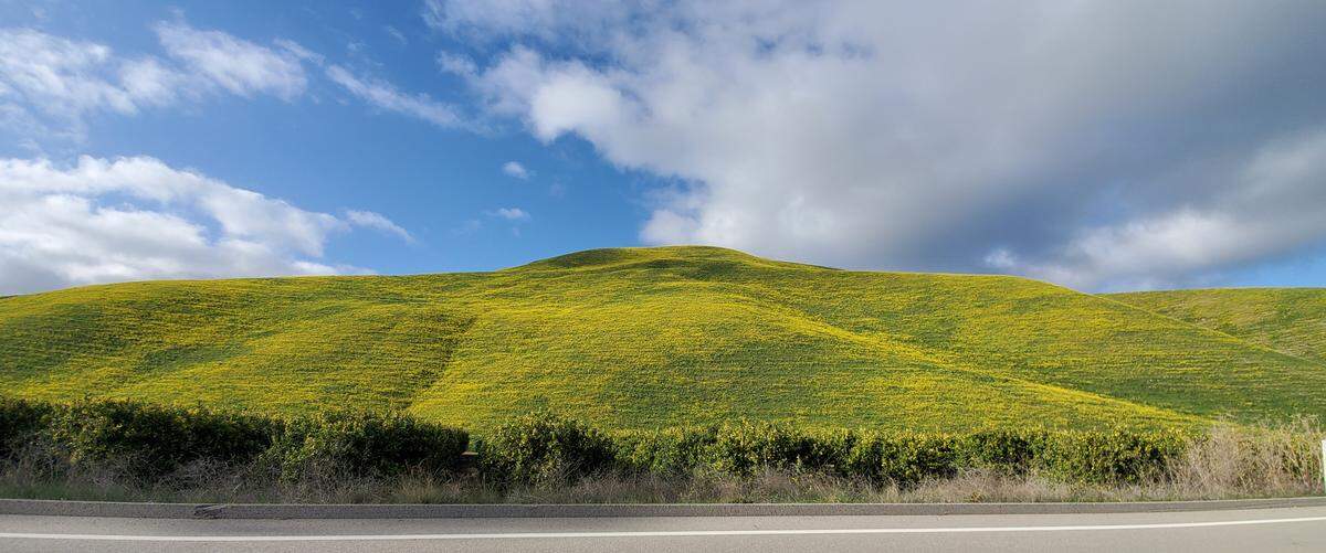 Hills of gold near Lopez Lake in Arroyo Grande.