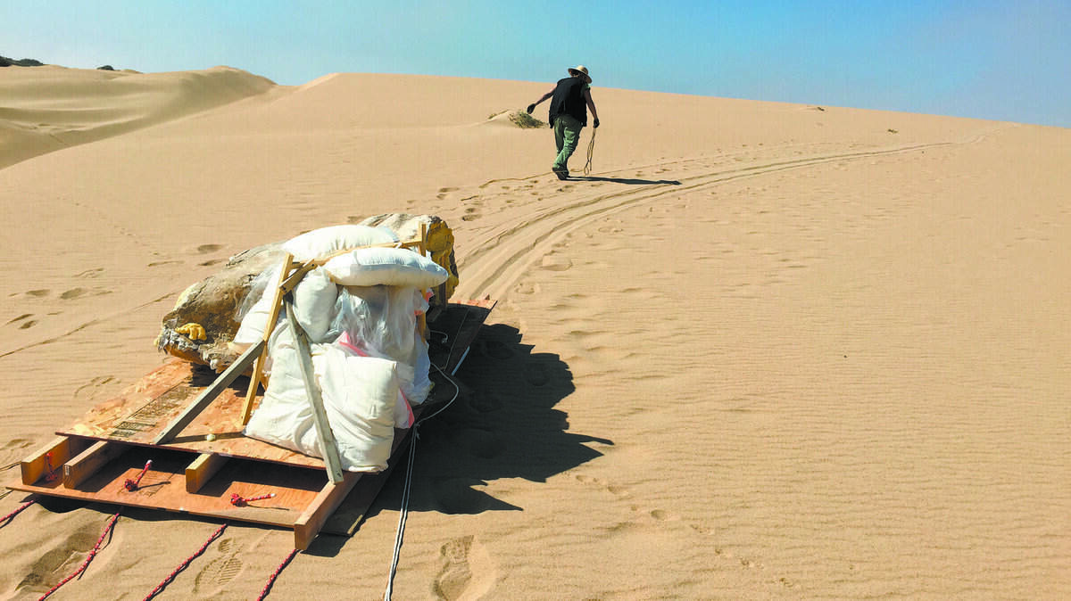 October 2014 excavation of Cecil B. DeMille artifacts from Ten Commandments set in the Guadalupe Dunes.
Photo by Doug Jenzen, Executive Director
The Guadalupe-Nipomo Dunes Center