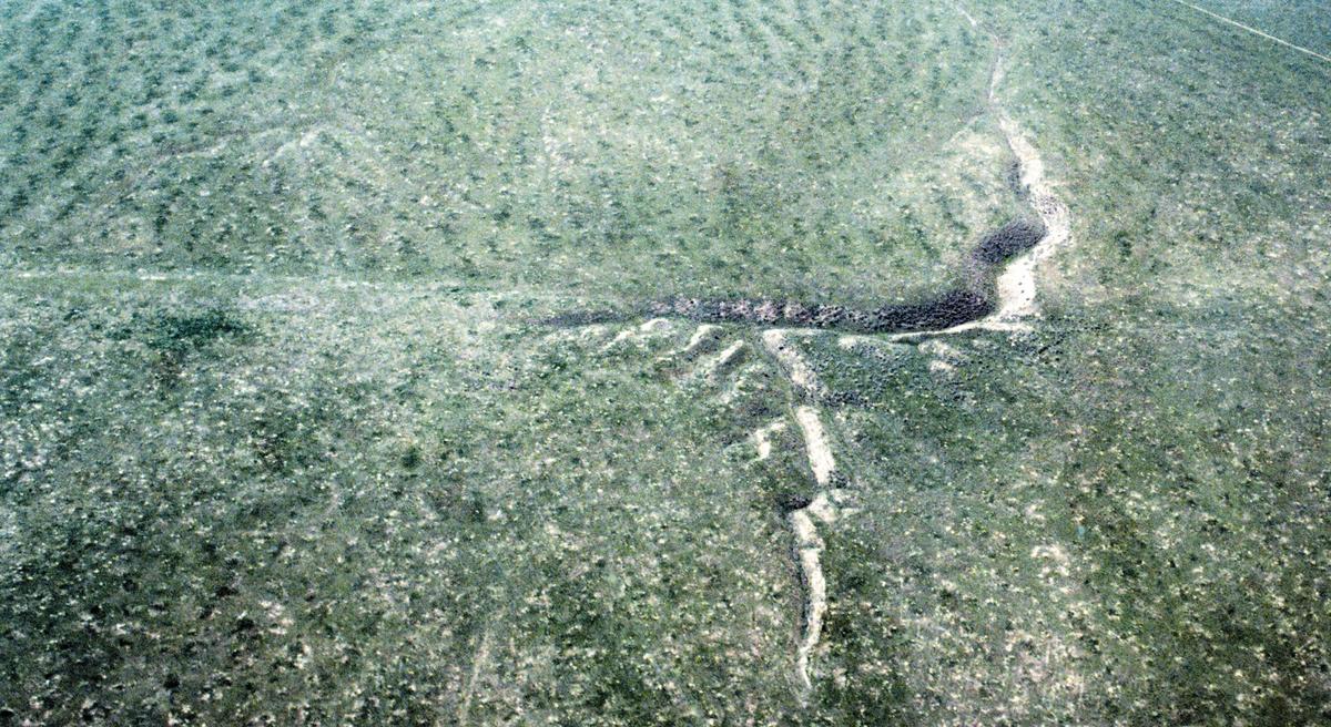 The San Andreas Fault is the line from left to right in the middle of this March 29, 1999 photo. It offsets this stream in the Carrizo Plain in this aerial view. This area is 60 miles south of Parkfield. Rainfall is so scarce in the plain that the stream follows the fault line briefly before regaining its old stream bed.