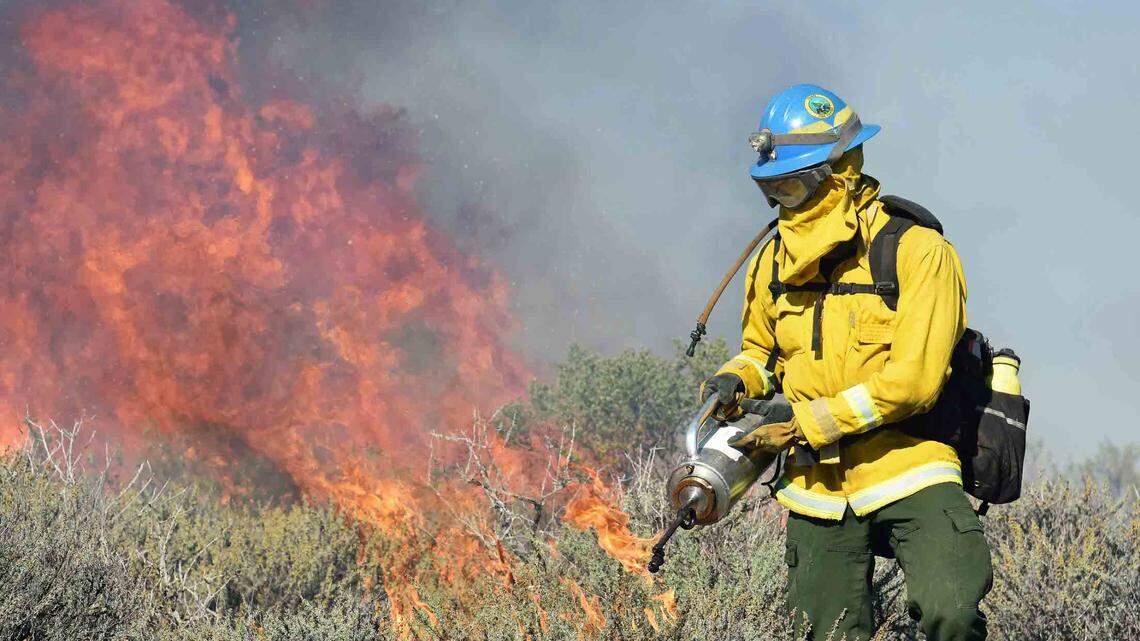 Fire near SLO County lighthouse was controlled burn. Why are they so important?