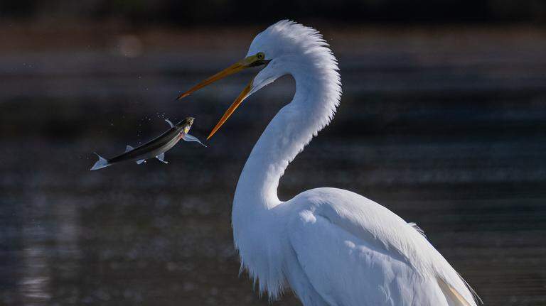 ‘May gray’ along the SLO County coast will give way to warmer weather this week
