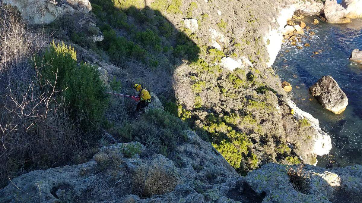 A Cal Fire SLO firefighter is descending with the help of a rope system at Pirate’s Cove to access a stranded hiker.