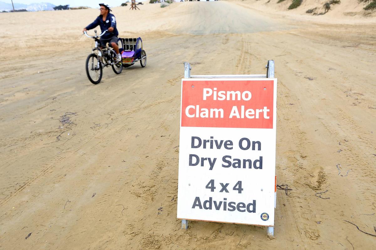 New signs were posted on Pismo State Beach near Oceano Dunes State Vehicular Recreation Area after thousands of Pismo clams were found surfaced on the beach and subsequently crushed by cars driving over them.