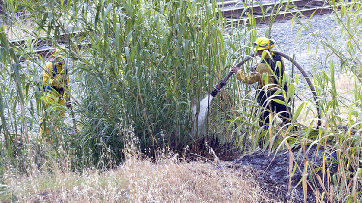Crews with Cal Fire and the San Luis Obispo Fire Department responded to a small fire near the California Highway Patrol office on California Boulevard and the railroad tracks Tuesday evening.