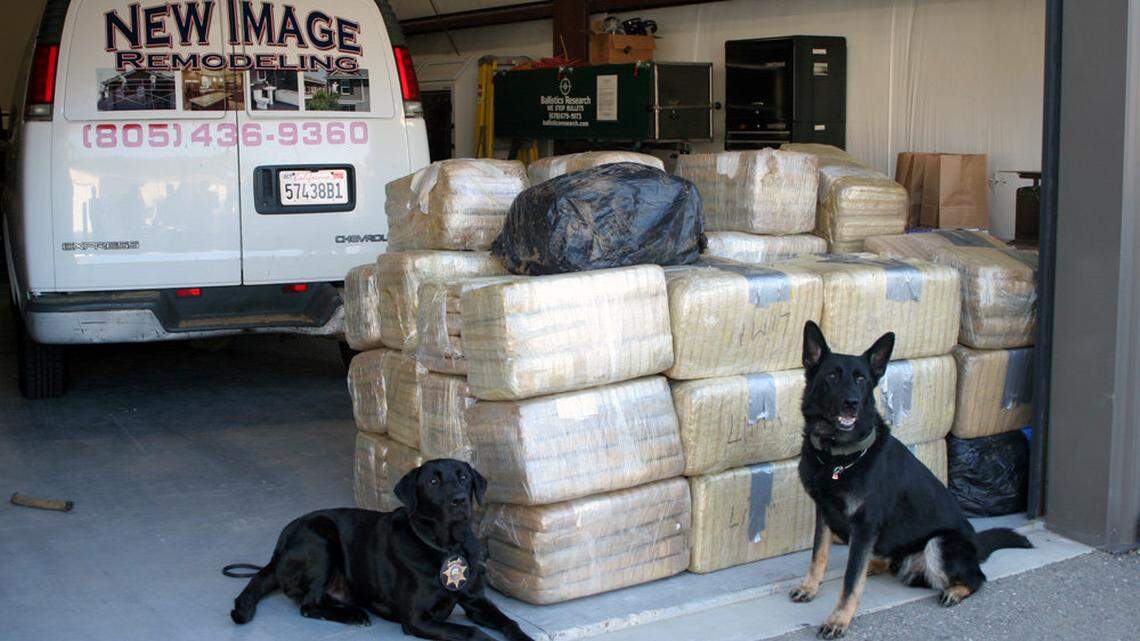 Drug-sniffing K-9s Jack and Nico helped with the seizure of these 53 bales of marijuana during an investigation into a panga boat found Wednesday at Montaña de Oro. The van was also seized by investigators; it's advertising a fake business, the Sheriff's Office said.