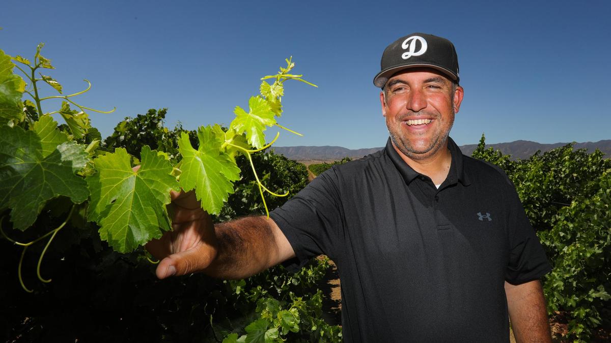 Andrew Jones, Sunridge Nurseries’ vice president of sales, talks about how they propagate 16-20 million vines a year from their farm in the Cuyama Valley, seen here on July 26, 2022.