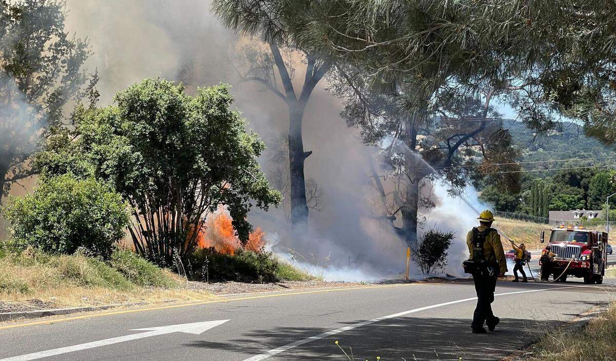 Firefighters battle a vegetation fire that sparked along Highway 101 near the San Anselmo Road overpass and spread from grass to trees, burning two acres and backing up traffic on July 15, 2023.