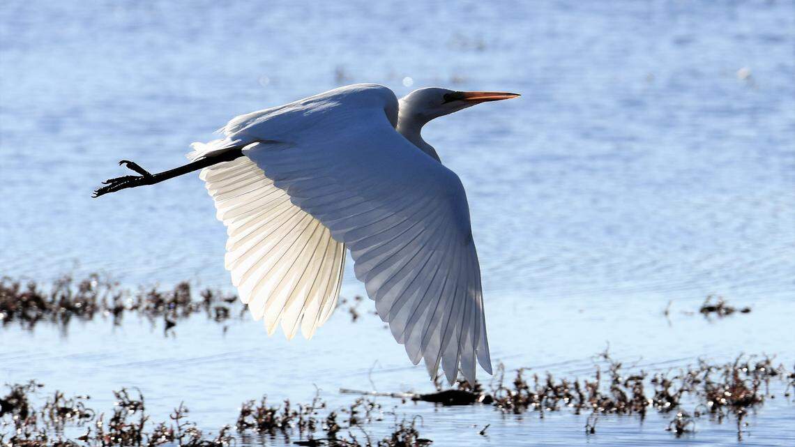 New weather station measures air density. What is it and why is it important?