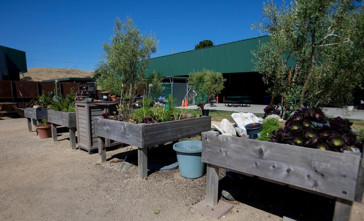 After five years of operating as an overnight shelter that features services during the day, 40 Prado Homeless Services Center will adopt a transitional housing model for its clients that will feature an increased focus on connection to services, with stays limited to 90 days. The shelter has a nice, outdoor sitting area, garden and flower boxes and storage area for bicycles.