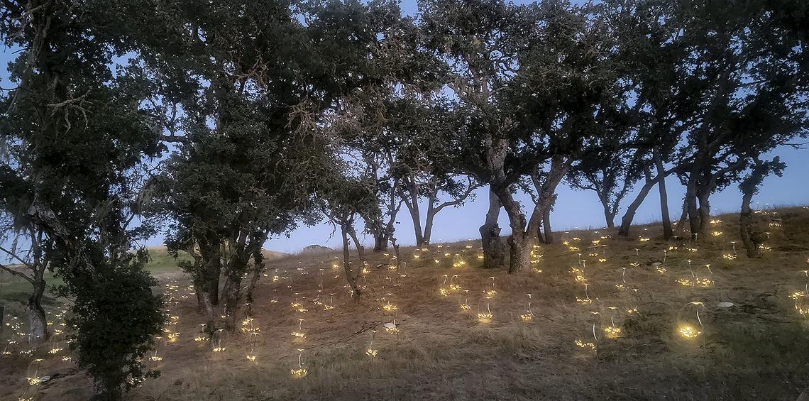 Two new light exhibits at Sensorio in Paso Robles were unveiled on Friday, May 19, 2023. “Fireflies” features 9,270 whimsical tendrils of light scattered in small clusters on hillsides near the new “Gone Fishing” display of 30 fanned-out arrays of 25 multi-colored “fishing rods.”