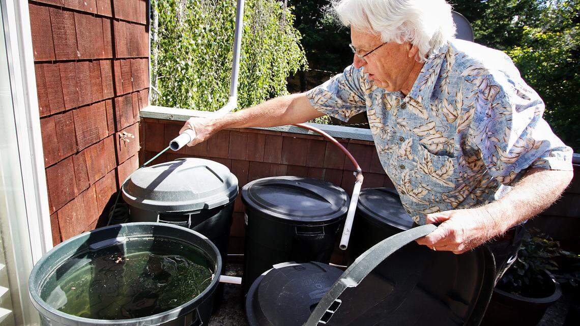 Bill Seavey of Cambria with one of his homemade rainwater catchment systems. The pipe he's holding is connected to the house's rain gutter and swivels so it can fill up any of these 32-gallon garbage cans. 