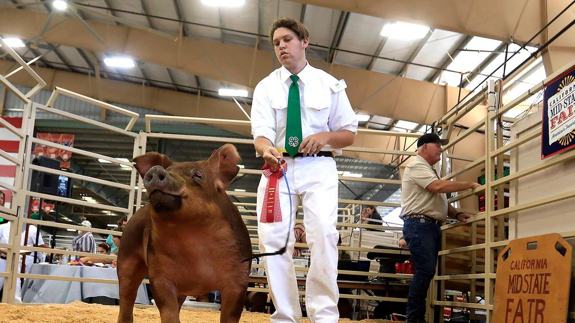 Mid-State Fair Junior Livestock Auction pulls in more than $2.1 million