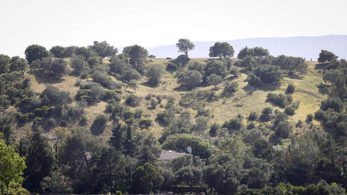 The Buena Vista neighborhood is on the flanks of San Luis Obispo’s Terrace Hill, seen here on May 14, 2026.