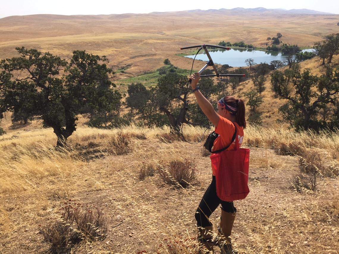 person standing in a field holding up a small antenna 
