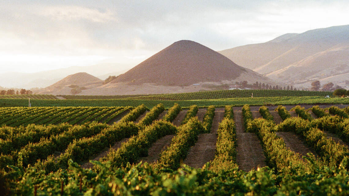 Michelin-starred chef launches ‘culinary destination’ in SLO wine country