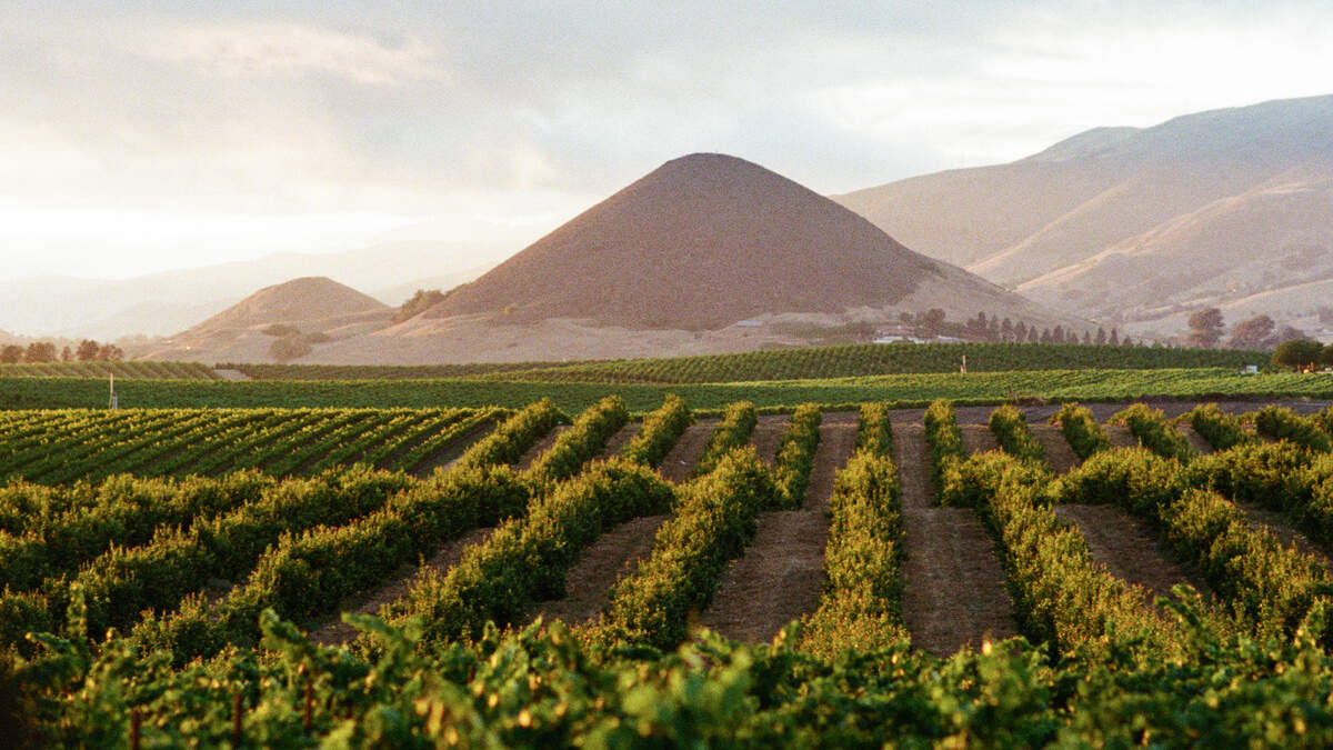 Michelin-starred chef launches culinary destination in SLO wine country