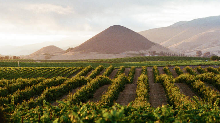 Michelin-starred chef launches ‘culinary destination’ in SLO wine country