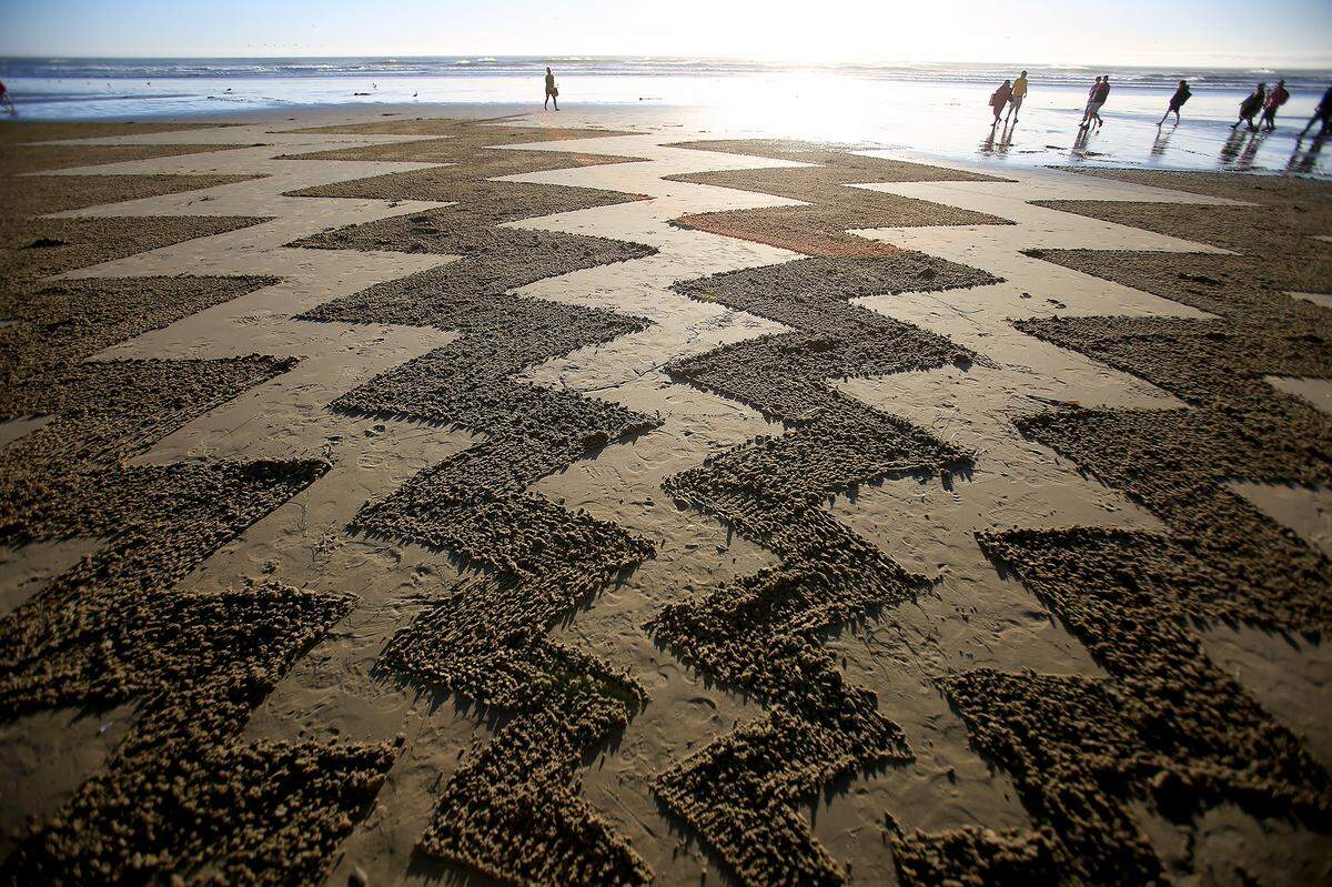 The Pismo Beach Sand Art Festival runs Nov. 6 to Nov. 8 as artists carve sand murals at low tide; view zones from SeaCrest, Wilmar Avenue, the pier or hotel rooftops. This sand art was created by Andreas Hoenigschmid based in Southern California.