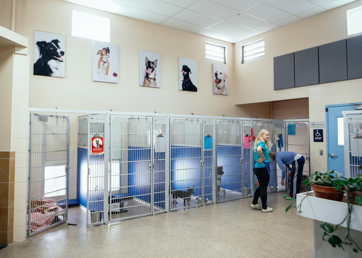 There were a lot of empty kennels by Sunday at the Woods Humane Society in San Luis Obispo during the shelter’s Black Friday Adopt-a-Thon.