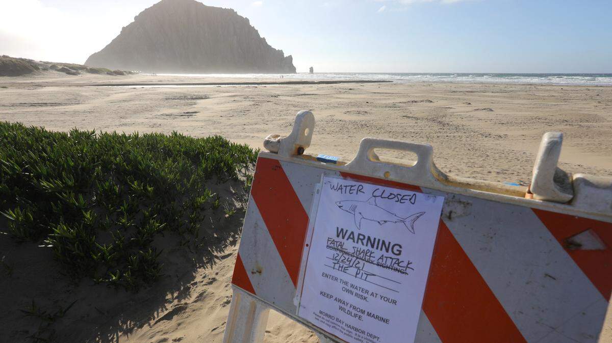 Deadly Morro Bay shark attack likely involved a great white; beachgoers avoid the ocean