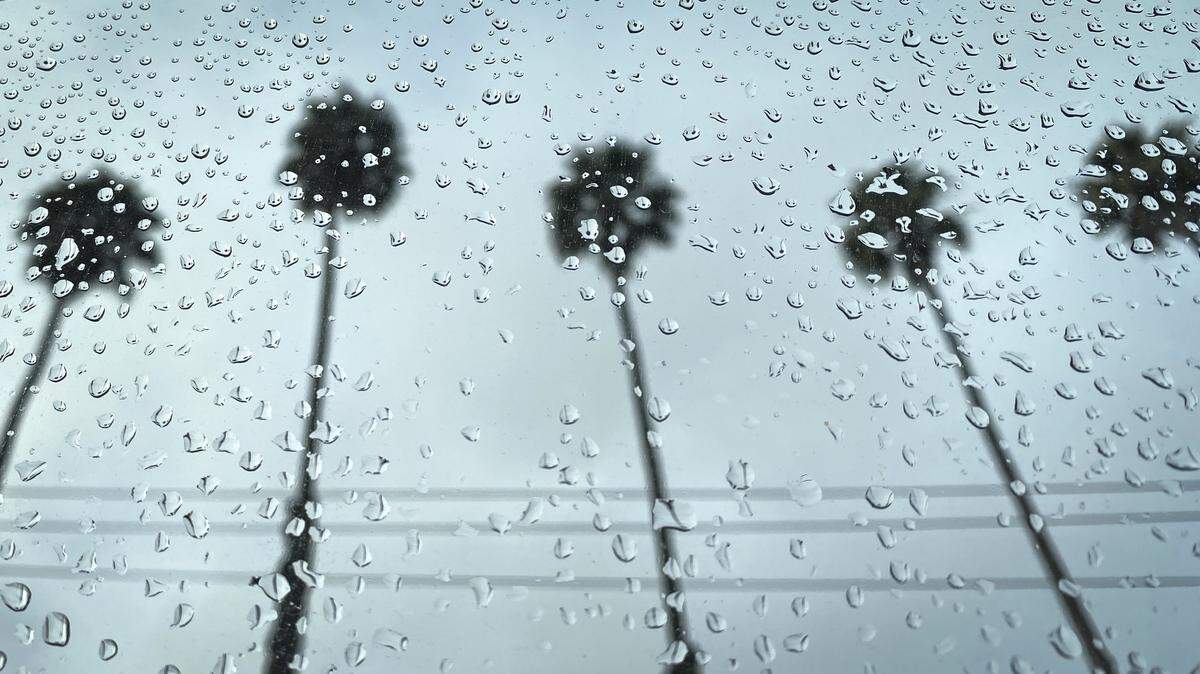 Rain sprinkles form dots on a car window with palm trees lining Elks Lane in San Luis Obispo in the background on Dec. 21, 2025.