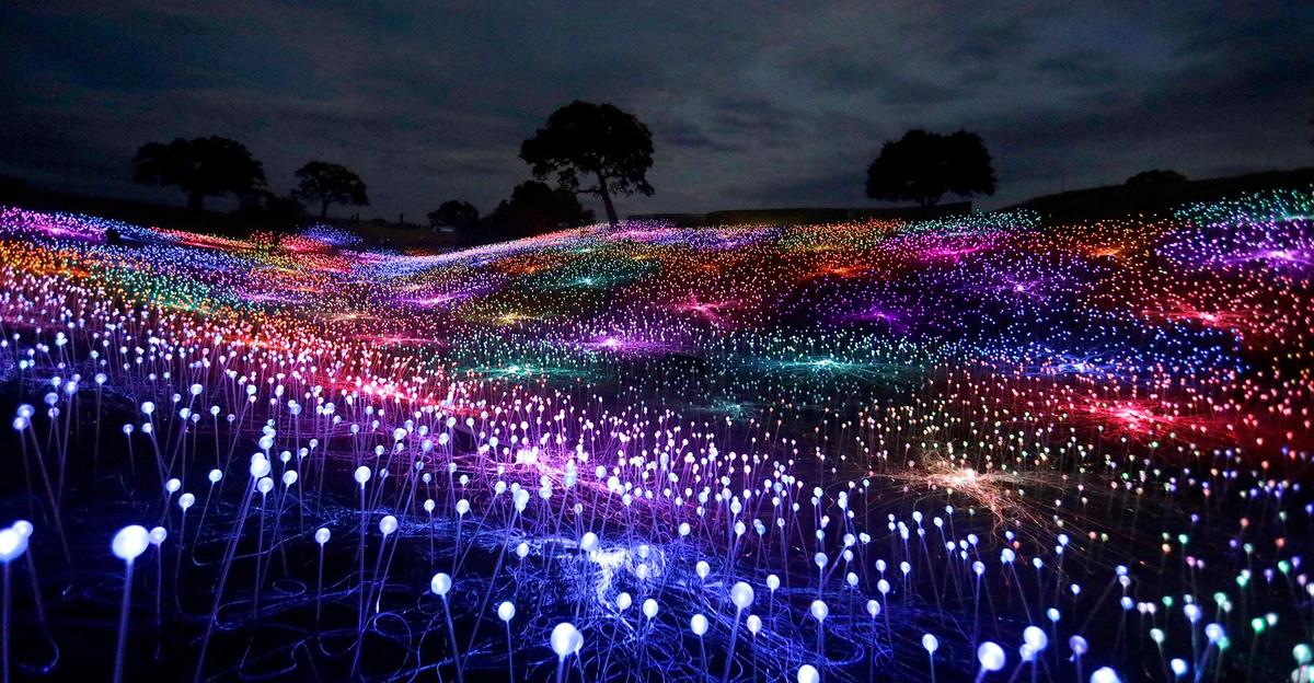 The Field of Light display at Sensorio in Paso Robles is an art display made up of nearly 60,000 solar-powered lights situated just off Highway 46 East. (Laura Dickinson)