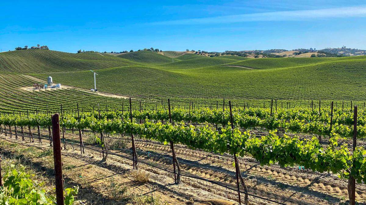 The Duckhorn Portfolio, which manages Duckhorn Vineyards in Napa Valley, California, acquired the Bottom Line Ranch in Paso Robles, California, adding 265 acres of Cabernet Sauvignon grapes to its porfolio.