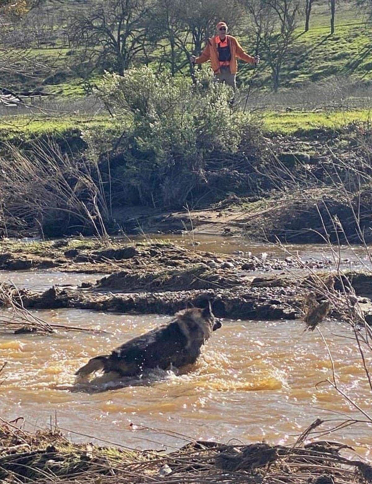 The San Luis Obispo County Sheriff’s Office continues to search for 5-year-old Kyle Doan on Jan. 17, 2023 in San Miguel. Doan was swept away in floodwaters on Jan. 9, 2023. K9 units assited in Tuesday’s work.